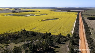 Property Lot 148 Savage Road, NERIDUP WA 6450 IMAGE 0