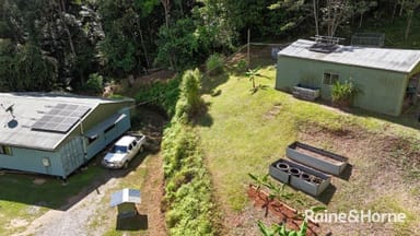Property Lot 241 White Beech Road, Cow Bay QLD 4873 IMAGE 0