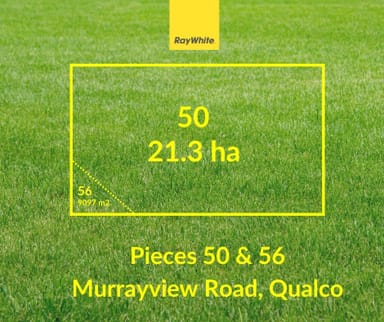 Property &, 56 Murrayview Road, Qualco SA 5322 IMAGE 0