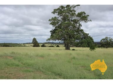 Property 1377 Dangore Mountain Road, DANGORE QLD 4610 IMAGE 0