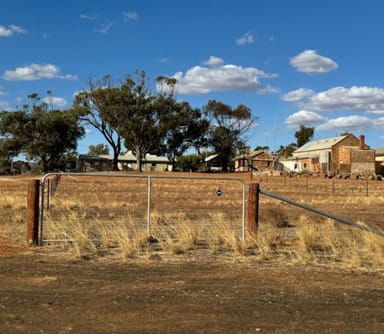 Property 201, West Terrace, Carrieton SA 5432 IMAGE 0