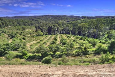 Property 224 Top Forestry Road, Ridgewood QLD 4563 IMAGE 0
