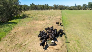 Property 'Glenelg East', 1075 Walbundrie Rd, Culcairn NSW 2660 IMAGE 0