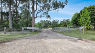 Property 206 Simpsons Creek Road, Simpsons Creek VIC 3888 IMAGE 0