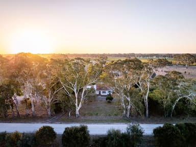 Property 437 Old Comaum Rd, Penola SA 5277 IMAGE 0