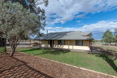 Property 217 Mallee Road, WALKER FLAT SA 5238 IMAGE 0