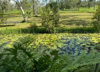 Property 288F Old Coach Road, MAJORS CREEK QLD 4816 IMAGE 0