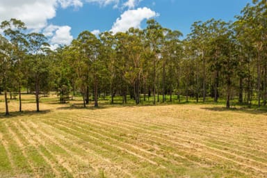 Property Various Lots Inches Rd, VERGES CREEK NSW 2440 IMAGE 0