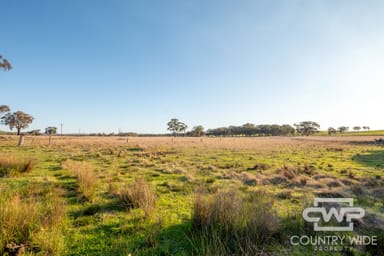 Property 3889 Nullamanna Road, WELLINGROVE NSW 2370 IMAGE 0