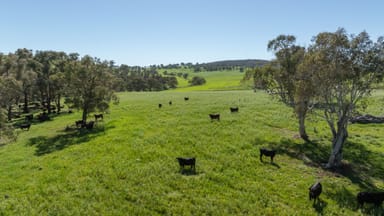 Property 2531 Niangala Road, Walcha NSW 2354 IMAGE 0