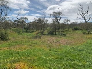 Property Lot 169 Muster Drive, Napperby SA 5540 IMAGE 0