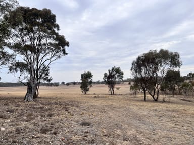 Property 100 Old St Arnaud Road, Fentons Creek VIC 3518 IMAGE 0