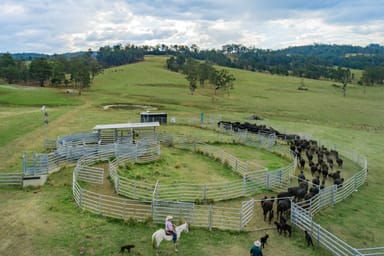 Property 276 Farm Road, BONALBO NSW 2469 IMAGE 0