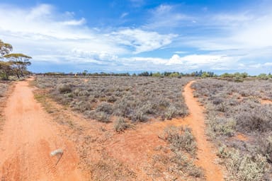 Property 1&4, Kloeden Street, Whyalla Norrie SA 5608 IMAGE 0