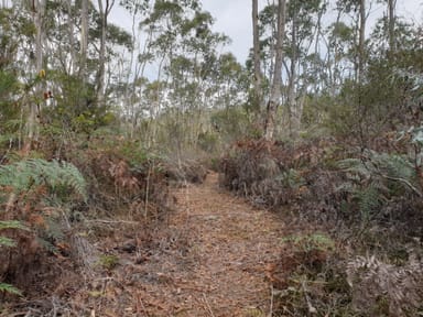 Property Lot 2, Brittains Road, GARDEN ISLAND CREEK TAS 7112 IMAGE 0