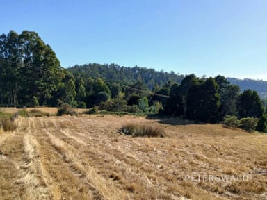 Property 157 Dillons Road, Ellendale TAS 7140 IMAGE 0