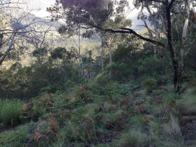 Property Lot 26 Big Jack Mountain Road, Cathcart NSW 2632 IMAGE 0