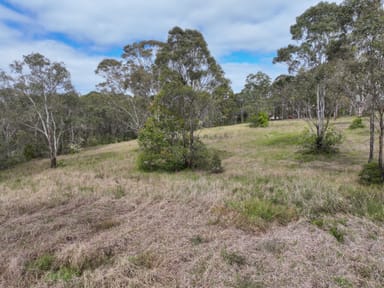 Property 2 - 5 DP 1290890, Richardson, Lambert and Mortimer streets, WINGHAM NSW 2429 IMAGE 0