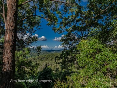 Property 886 Tomewin Road, Tomewin NSW 2484 IMAGE 0