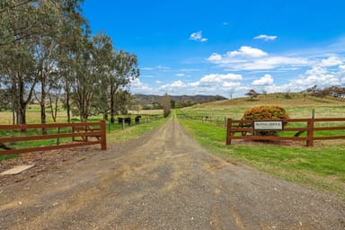 Property Wongabina Monteray Rd, Loomberah NSW 2340 IMAGE 0