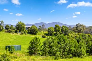 Property 20 McLean Drive, BELLINGEN NSW 2454 IMAGE 0