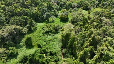 Property Lot 81 Cape Tribulation Road, Diwan QLD 4873 IMAGE 0