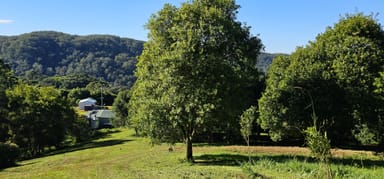 Property 1005 Tuntable Creek Road, Tuntable Creek NSW 2480 IMAGE 0