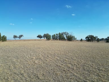 Property 146 Greenwood Road, GEROGERY NSW 2642 IMAGE 0