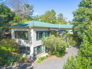 Property 375 John Lees Drive, DILSTON TAS 7252 IMAGE 0