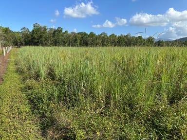 Property Lot 177 Bruce Highway, BILYANA QLD 4854 IMAGE 0