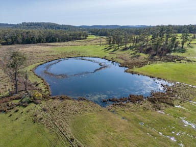 Property 234 Winkleigh Road, EXETER TAS 7275 IMAGE 0