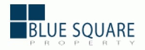 Blue Square Property