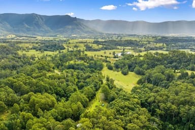 Property 19, 1283 Byrrill Creek Road, Brays Creek NSW 2484 IMAGE 0