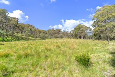 Property 925 Marked Tree Road, Gundaroo NSW 2620 IMAGE 0