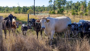 Property 443 Railway Road, BOOYAL QLD 4671 IMAGE 0