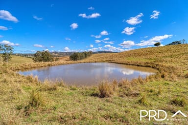 Property Lot 30, 46 Lynches Creek Road, WIANGAREE NSW 2474 IMAGE 0