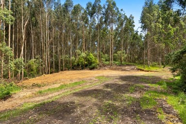 Property 165 Hiders Access Road, Yuulong VIC 3237 IMAGE 0