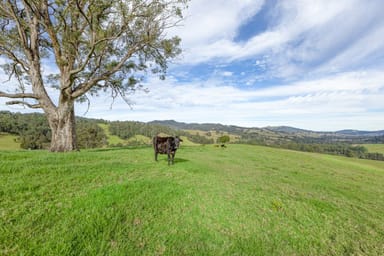 Property 3334 Allyn River Road, Upper Allyn NSW 2311 IMAGE 0