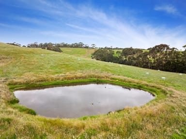 Property 565 Glen Alvie Road, Glen Alvie VIC 3979 IMAGE 0