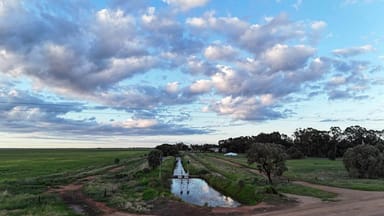 Property 1852 Thurrowa Rd, Coleambally NSW 2707 IMAGE 0