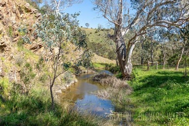 Property 384A Scrubby Hill Road, Highland Valley SA 5255 IMAGE 0