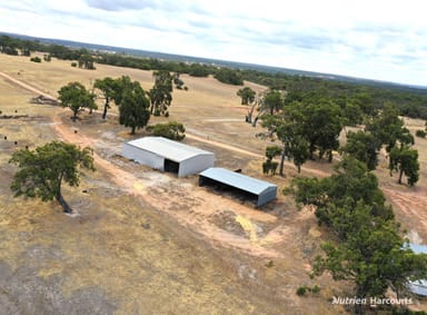 Property 204 Cullalla Road, Mooliabeenee WA 6504 IMAGE 0