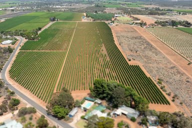 Property Lot 11 Battams Road, GLOSSOP SA 5344 IMAGE 0