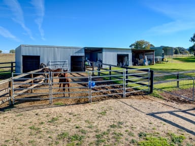 Property 1802 New England Highway, MOONBI NSW 2353 IMAGE 0