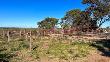 Property Vairous Sections Flinders Highway, CEDUNA SA 5690 IMAGE 0