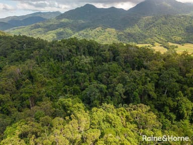 Property Lot 2 Gorge Road, Mossman Gorge QLD 4873 IMAGE 0