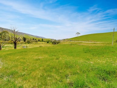 Property 303 Omeo Highway, OMEO VIC 3898 IMAGE 0