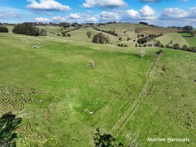 Property 175 Fishers Road, Boolarra South VIC 3870 IMAGE 0