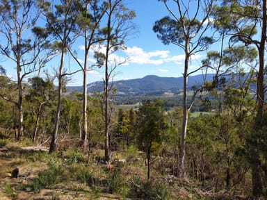 Property Lot 13 Bull Oak Way, GROVE TAS 7109 IMAGE 0