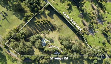 Property 308 Strongs Road, Jaspers Brush NSW 2535 IMAGE 0